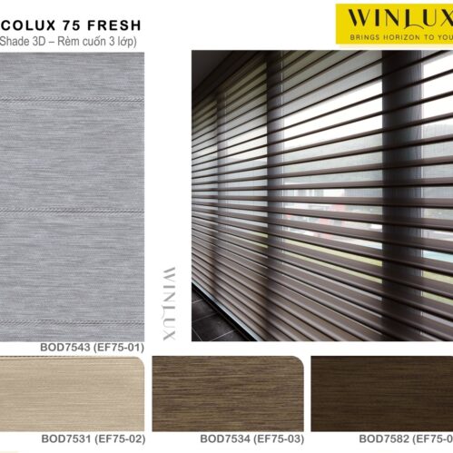 ecolux-75-fresh-shade-3d-rem-cuon-3-lop